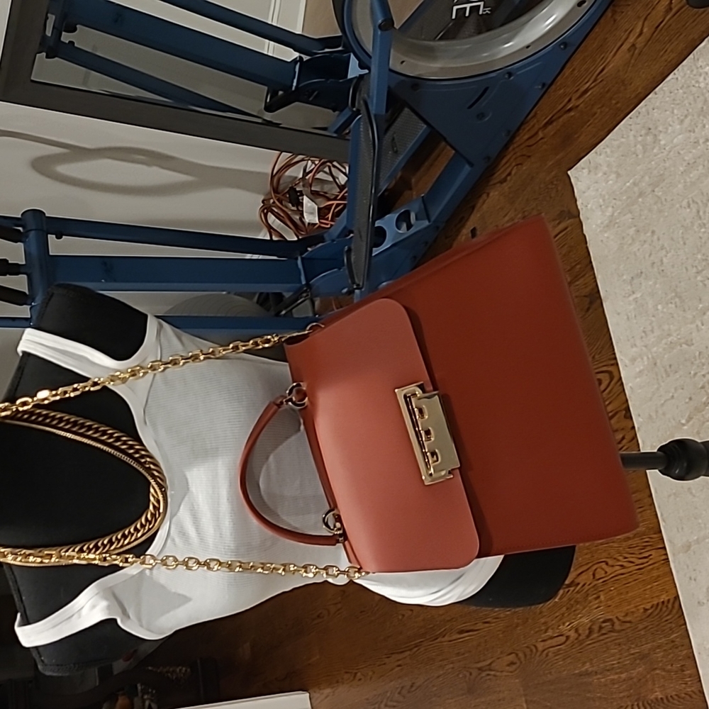 Zac Posen cinnamon color bag